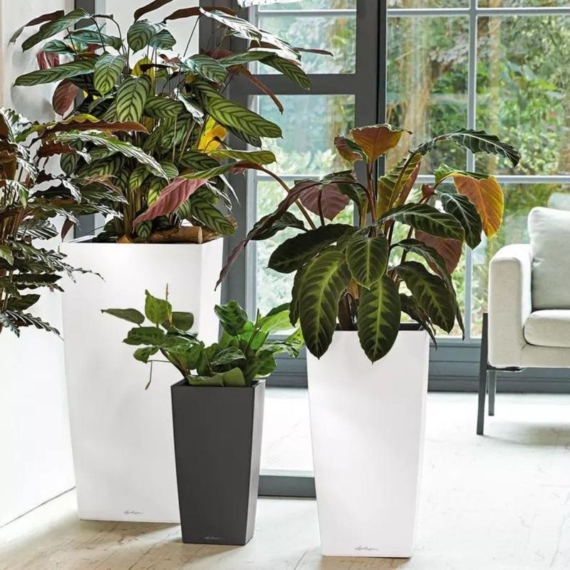 Cubico Premium 30, Lechuza Blomsterpotte