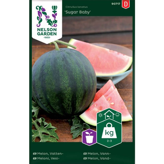 Hovedbilde Melon, Vann- 'Sugar Baby'