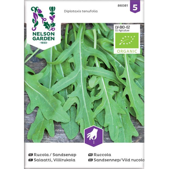 Hovedbilde Ruccola