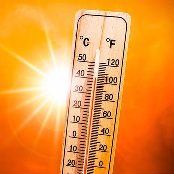 Hovedbilde Temperatur