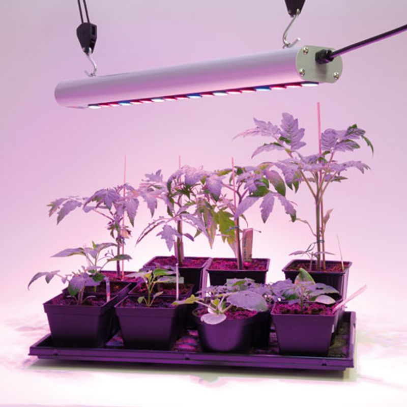 LED-vekstlys 35 W Quattro