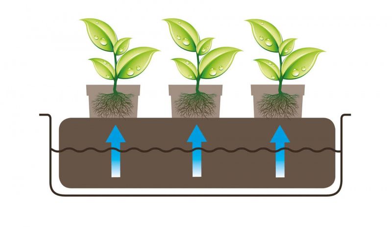 Autopot Rotmatte 116x51 cm 