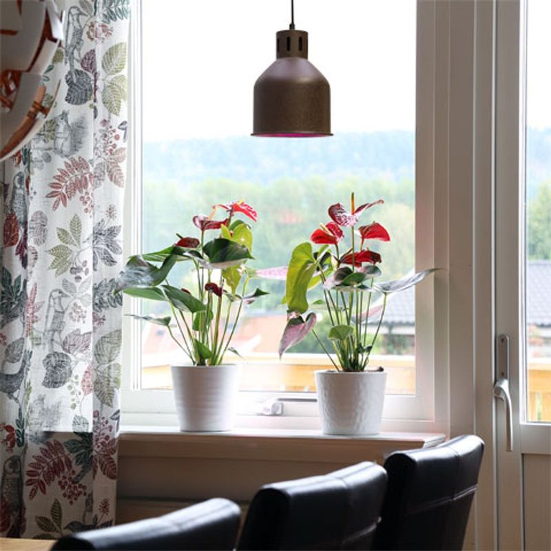Saga armatur 'grå' med LED-pære 24 W