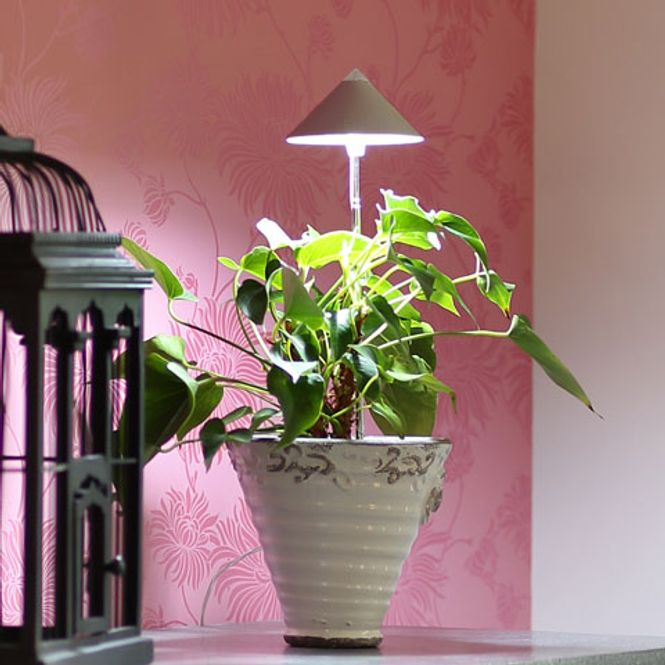 Hovedbilde Sunlite LED vekstlampe 'Grafittgrå'