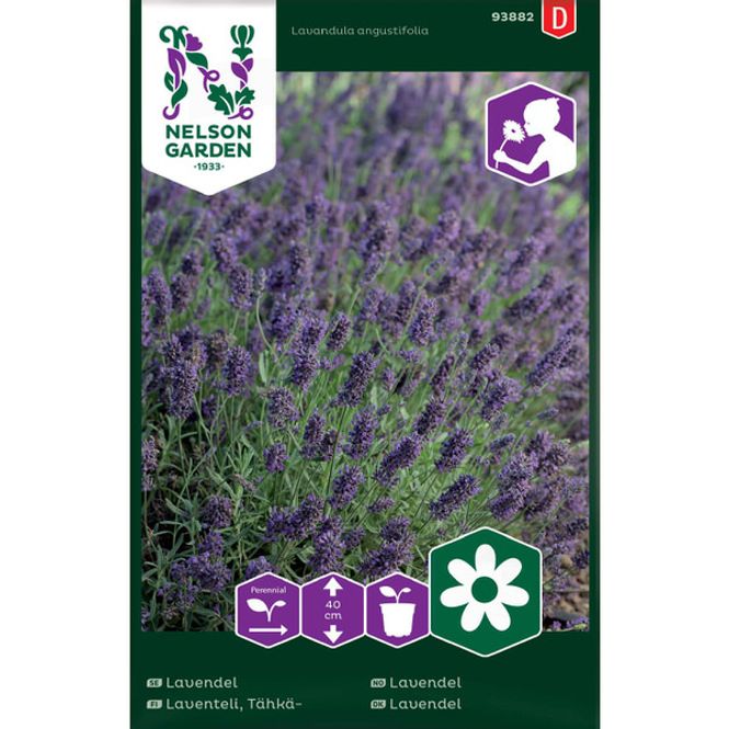 Hovedbilde Lavendel