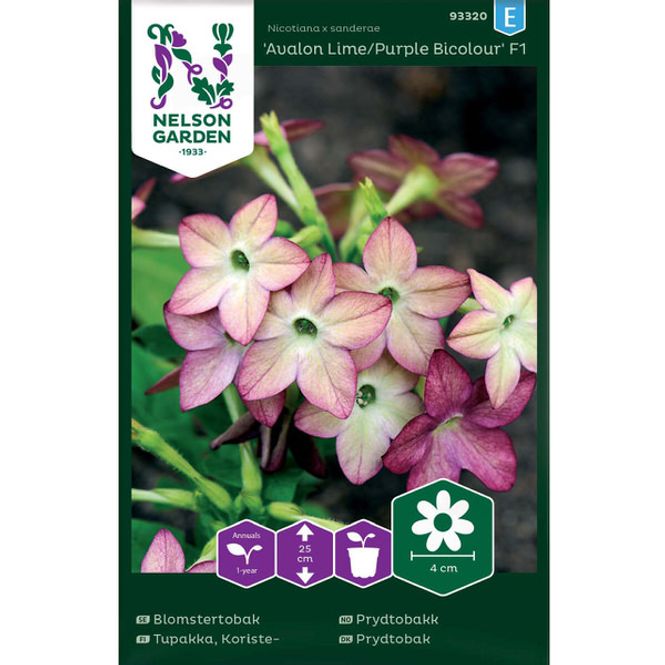 Hovedbilde Prydtobakk, 'Avalon Lime/Purple Bicolour'