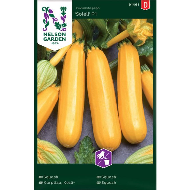 Hovedbilde Squash 'Soleil' F1