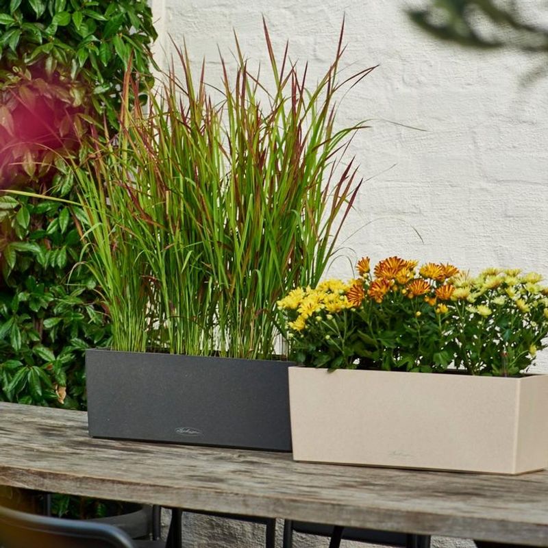 Balconera Stone 50 'Graphite Black', Lechuza Balkongkasse