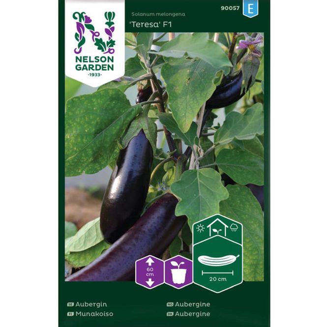 Hovedbilde Aubergine 'Teresa' F1
