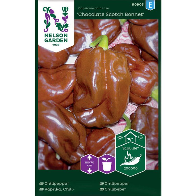 Chilipepper 'Chocolate Scotch Bonnet'