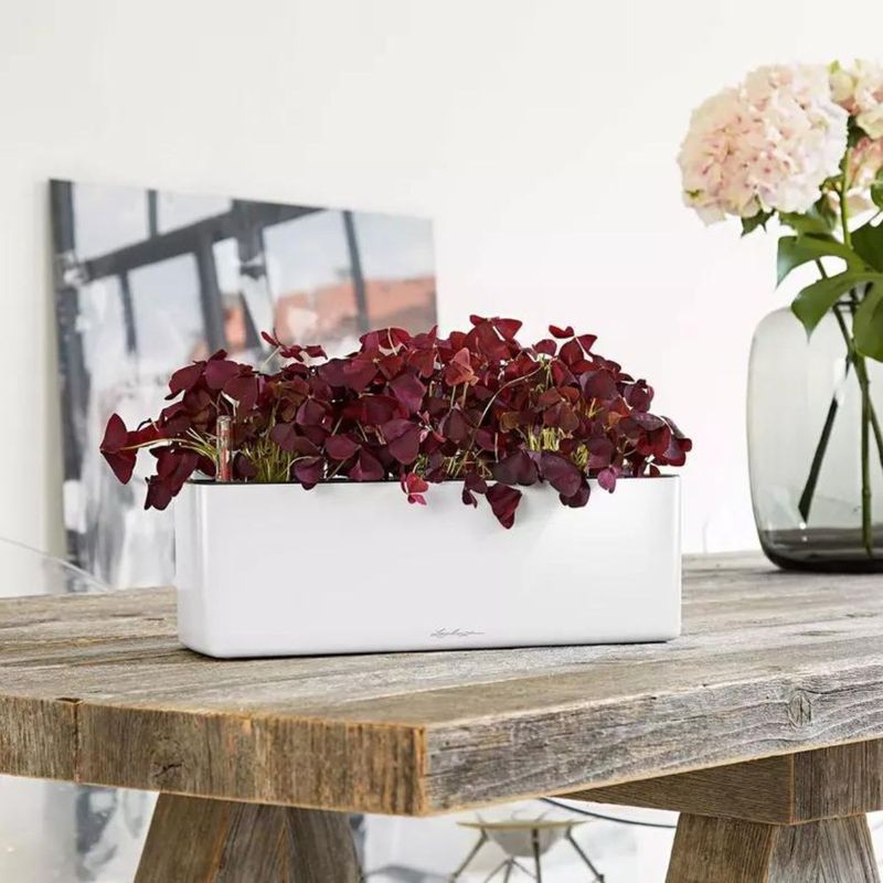 Cube Glossy Triple, Lechuza Blomsterkasse
