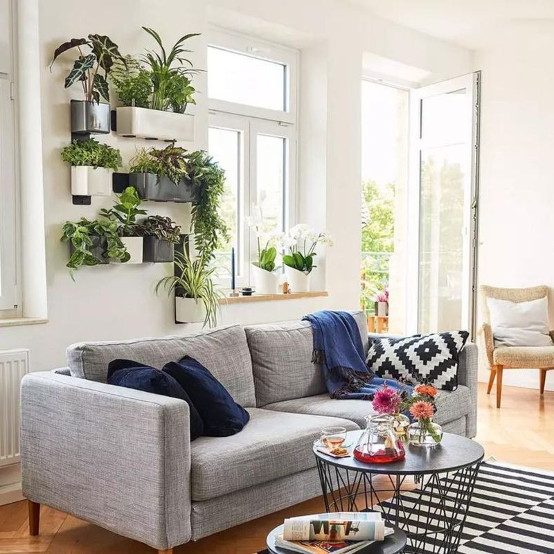 Green Wall Home Kit, Lechuza Blomsterpotter