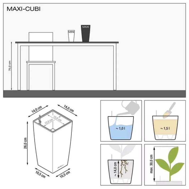 Maxi Cubi, Lechuza Selvvanningspotte