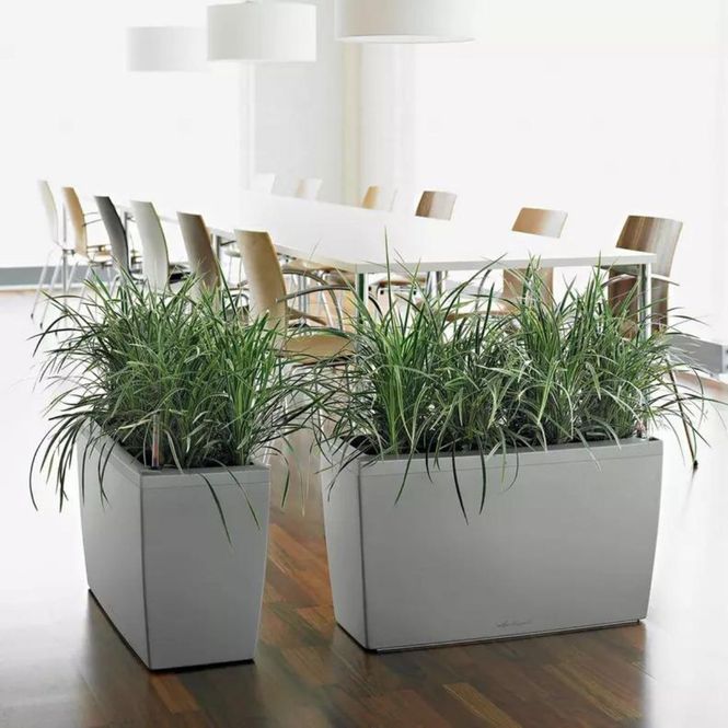 Hovedbilde Cararo Premium, Lechuza Blomsterkasse