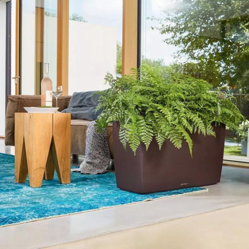 Cararo Premium, Lechuza Blomsterkasse