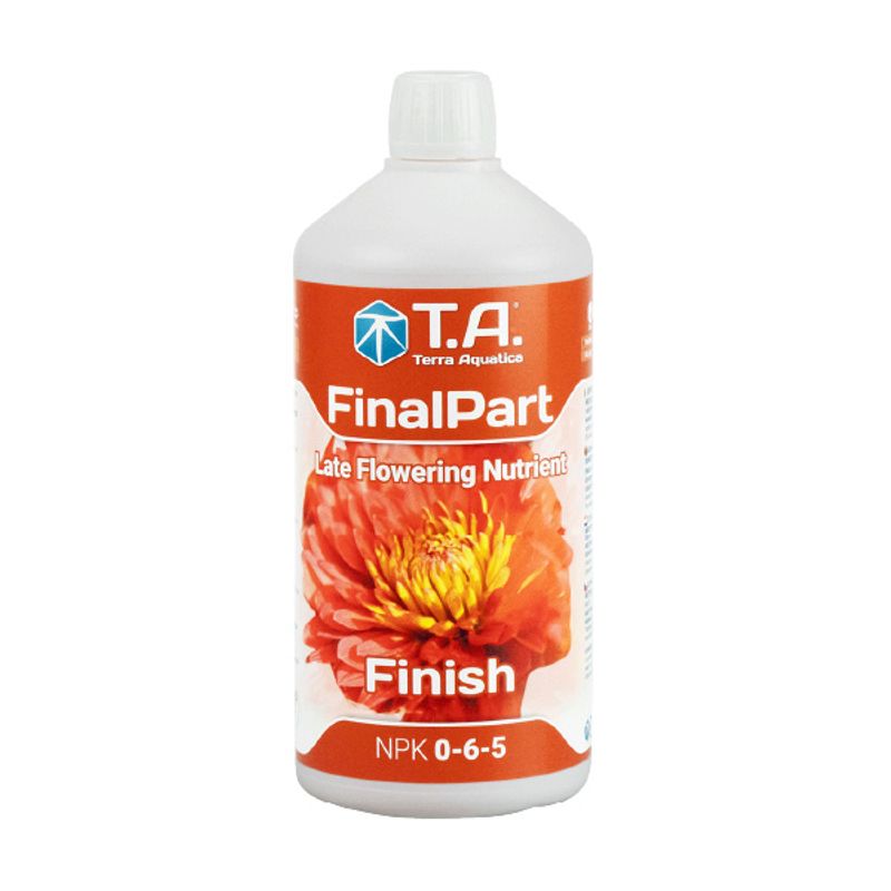 T.A. FinalPart 1 L