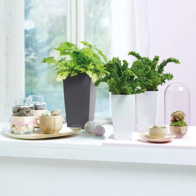 Hovedbilde Mini Cubi, Lechuza Selvvanningspotte