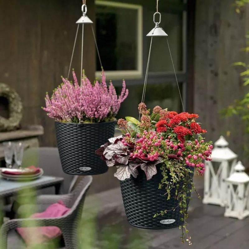 Nido Cottage, Lechuza Ampelpotte