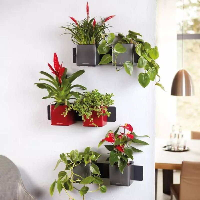 Green Wall Home Kit, Lechuza Blomsterpotter