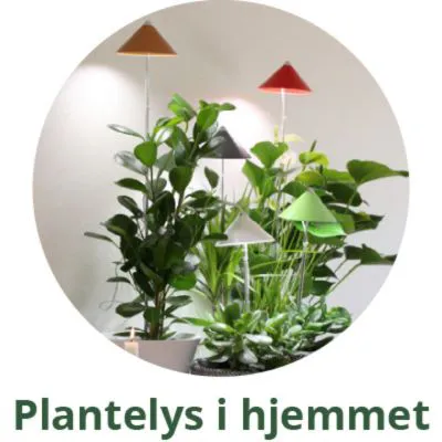 Led plantelys til stue